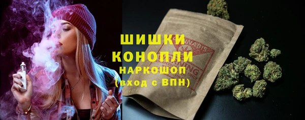 ГАЛЛЮЦИНОГЕННЫЕ ГРИБЫ Аркадак