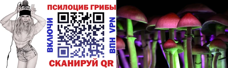 Псилоцибиновые грибы MAGIC MUSHROOMS  darknet как зайти  Спас-Деменск  кракен вход 